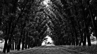 BIM ve dijital ikiz projelerinde artış